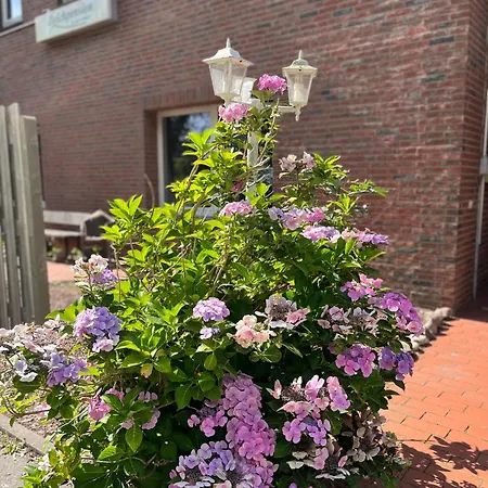 Connect 9.3 Appartement Dorumer Neufeld