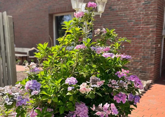 Connect 9.3 Apartman Dorumer Neufeld